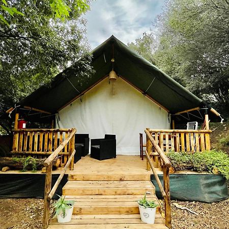 New Camping Coccorrocci Marina di Gairo Zewnętrze zdjęcie