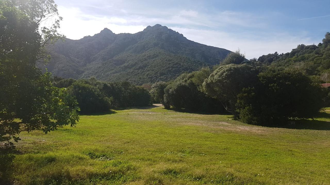 New Camping Coccorrocci Marina di Gairo Zewnętrze zdjęcie