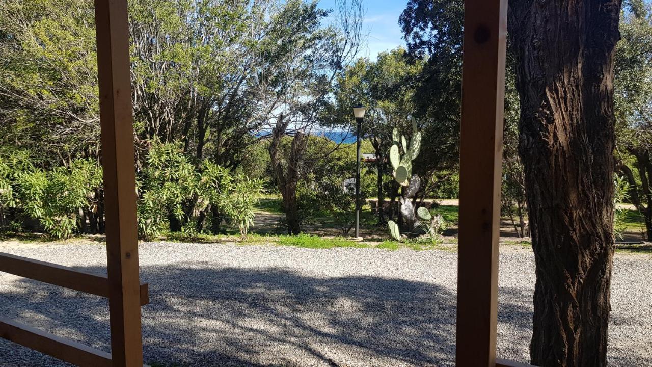 New Camping Coccorrocci Marina di Gairo Zewnętrze zdjęcie