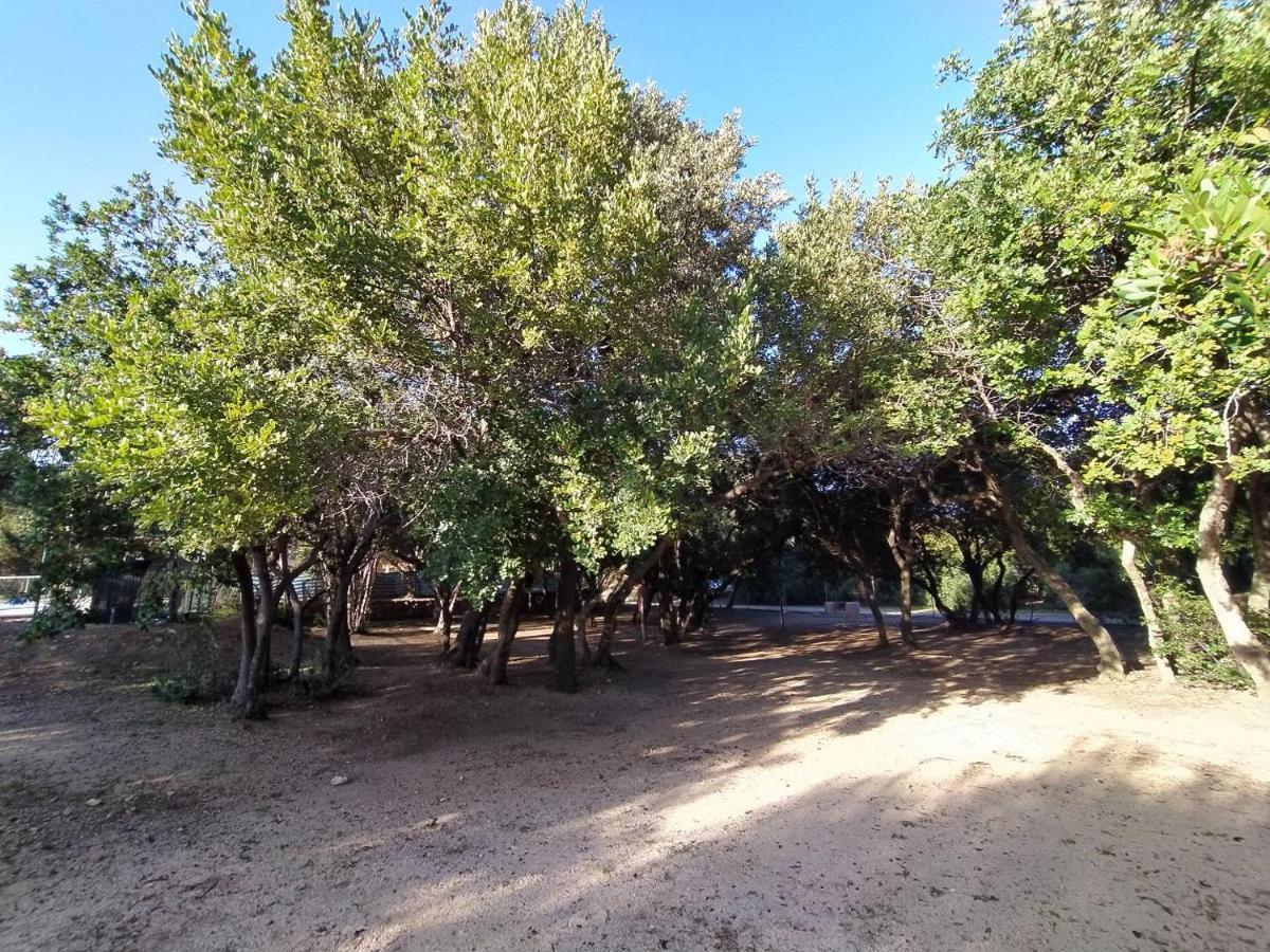 New Camping Coccorrocci Marina di Gairo Zewnętrze zdjęcie