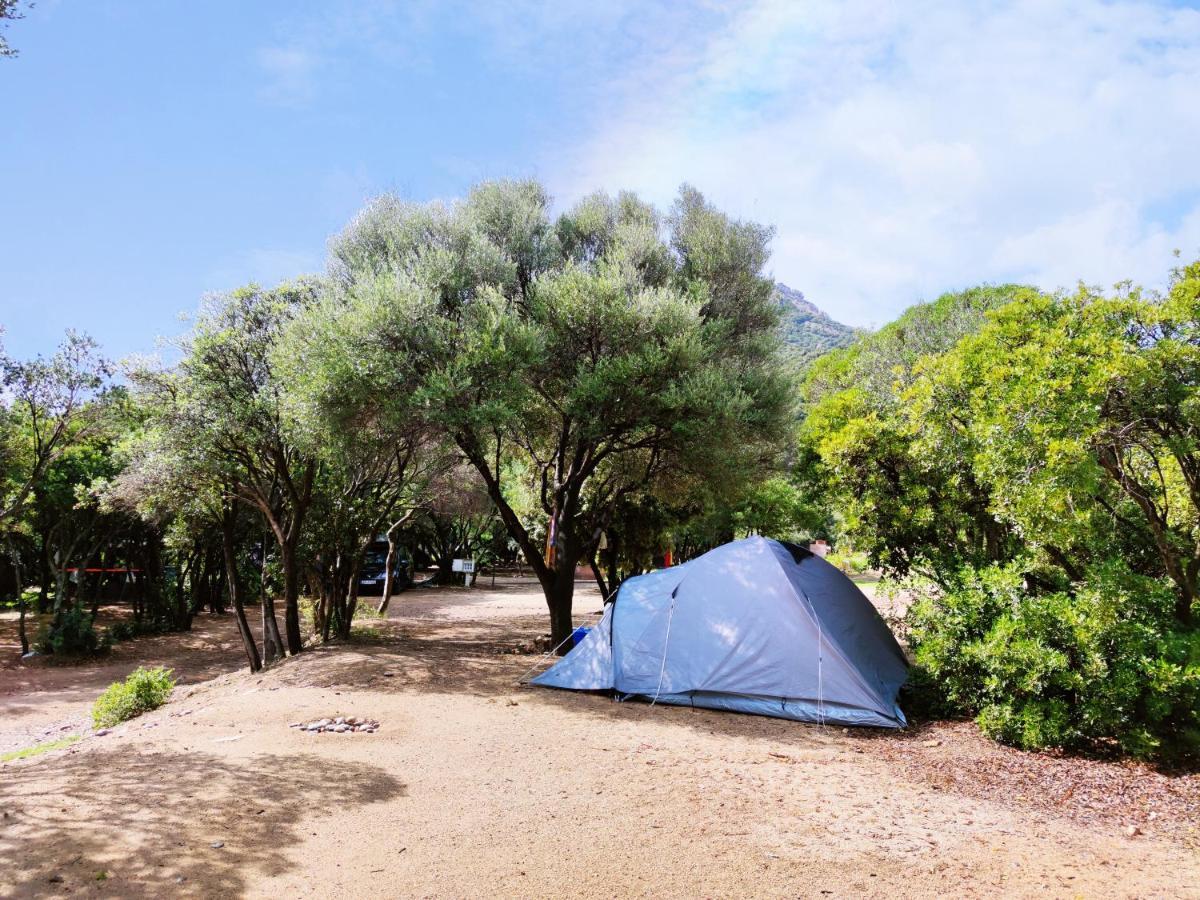 New Camping Coccorrocci Marina di Gairo Zewnętrze zdjęcie
