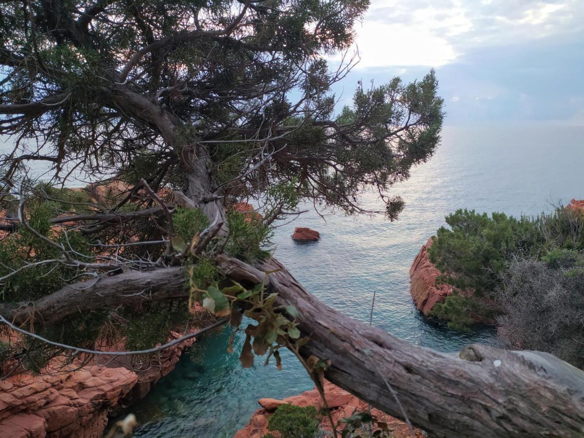 New Camping Coccorrocci Marina di Gairo Zewnętrze zdjęcie