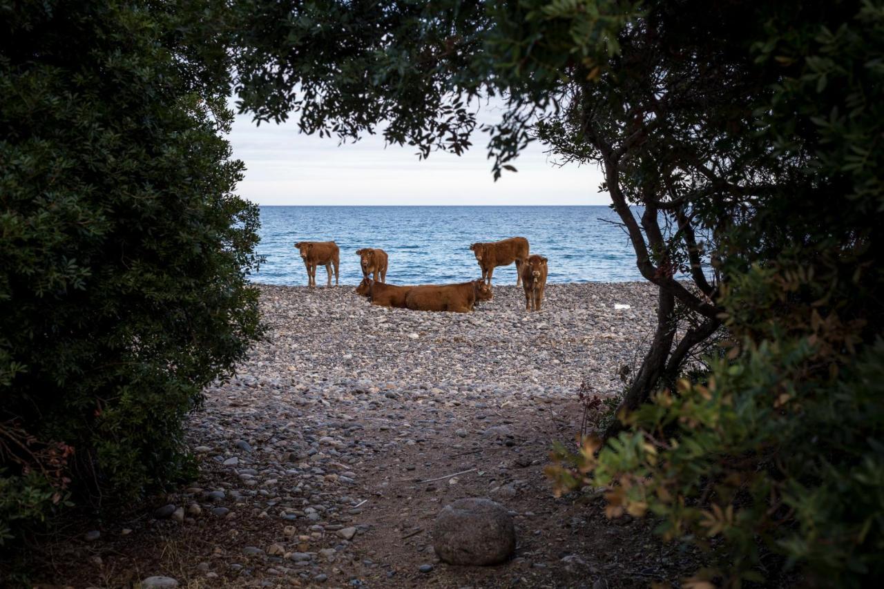 New Camping Coccorrocci Marina di Gairo Zewnętrze zdjęcie